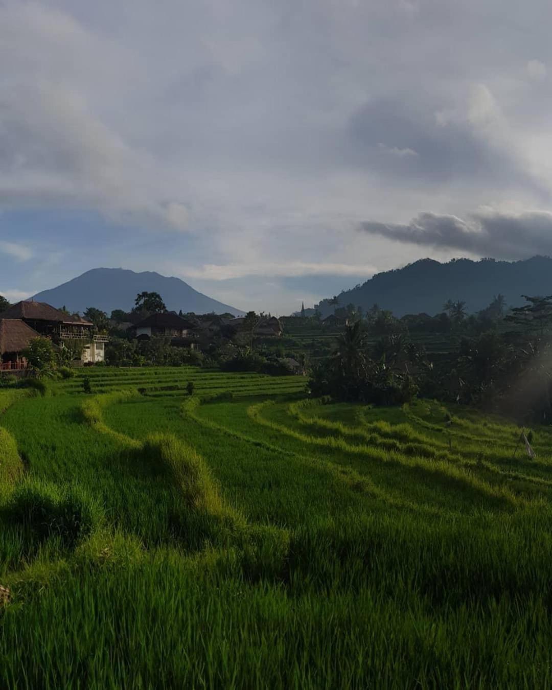 D'Janu Homestay سيديمين المظهر الخارجي الصورة