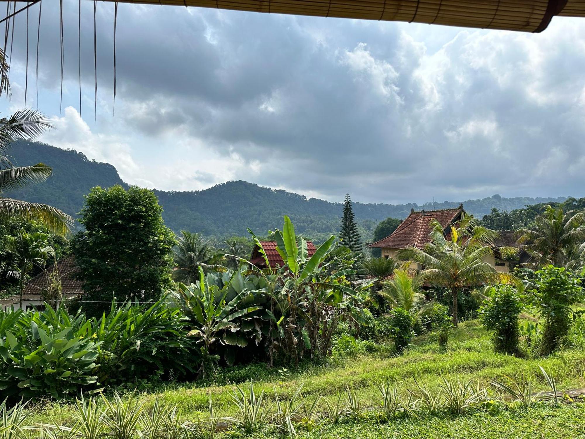 D'Janu Homestay سيديمين المظهر الخارجي الصورة